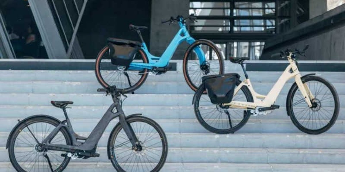 E-bike Ultima Multipath