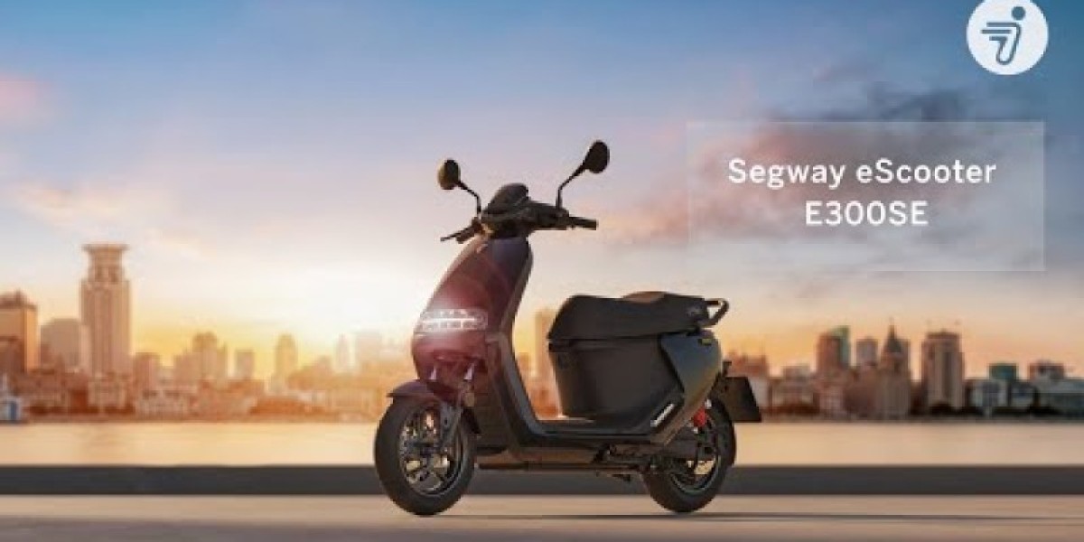 Scooter elettrico Segway E300SE