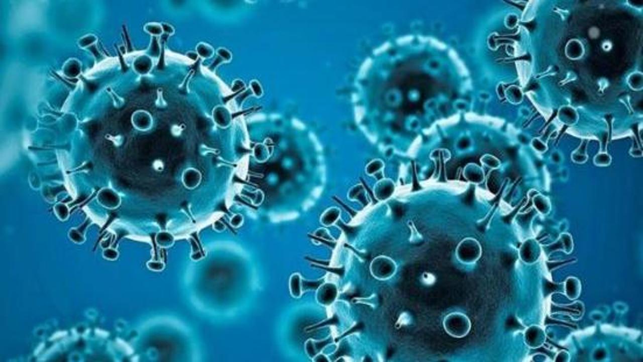 Covid, l’allarme dell’Europa: in autunno il virus rialzerà la testa, gli Stati riprendano a vaccinare i fragili e i sanitari - La Stampa