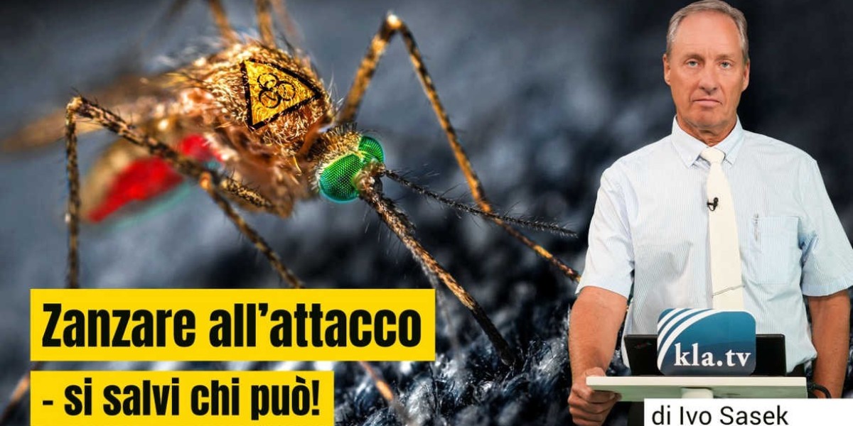 Zanzare all’attacco si salvi chi può