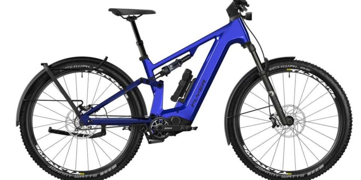 Ebike Flyer crossover Goroc