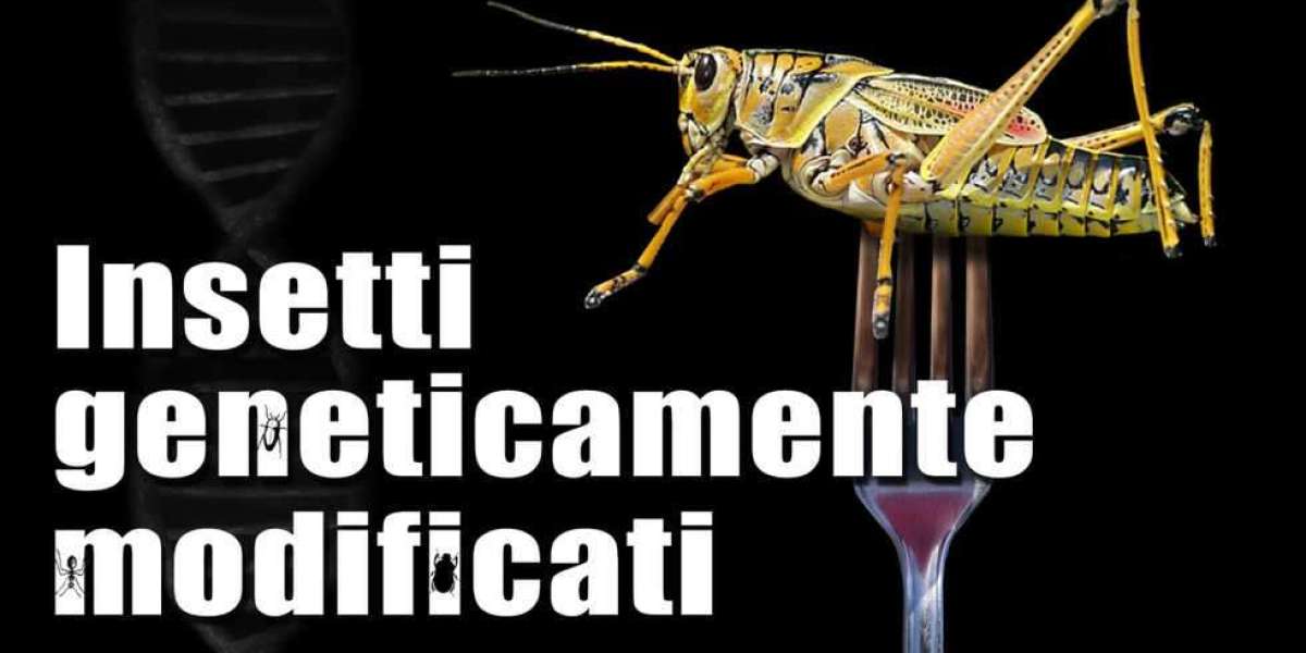 Insetti geneticamente modificati