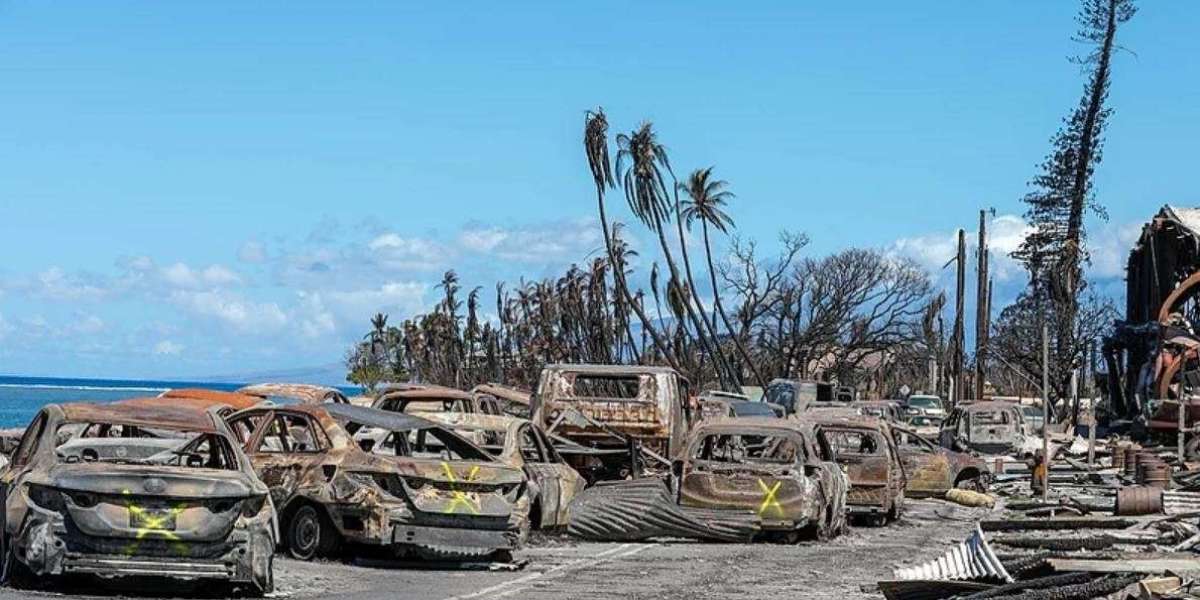 Servizio televisivo rivelerà la verità sugli incendi di Maui