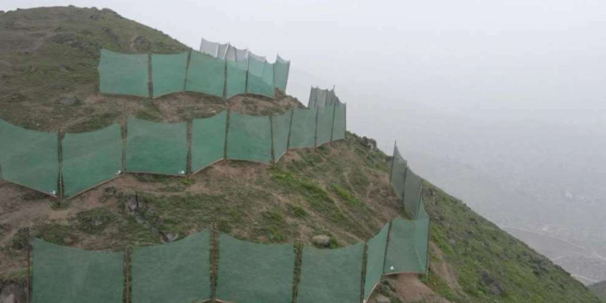 Coltivare il cibo con la nebbia