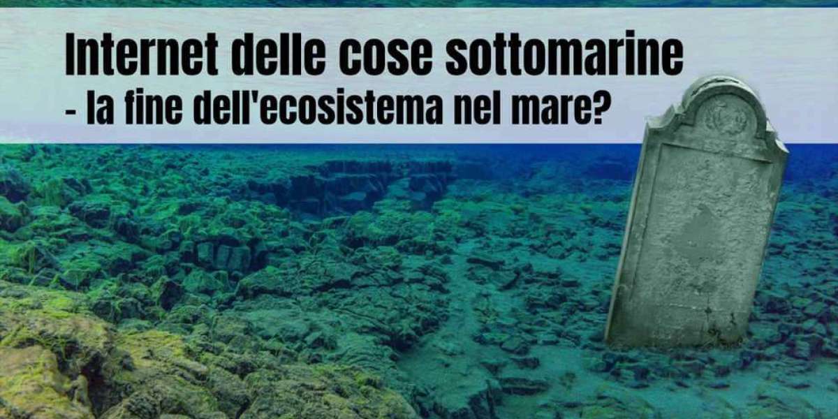 Internet delle cose sottomarine la fine dell'ecosistema nel mare?