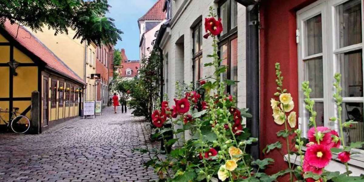 Visita a Odense Danimarca