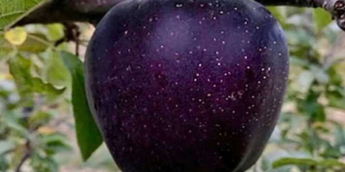 Black diamond Apple