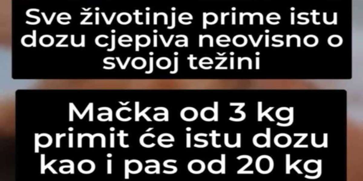 Položio sam Hipokratovu zakletvu i neću ubiti svog pacijenta!