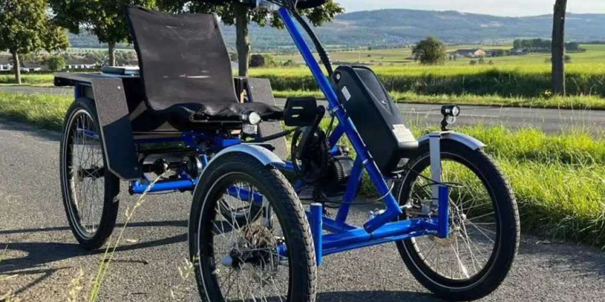 Insolita ebike Velo Cabrio