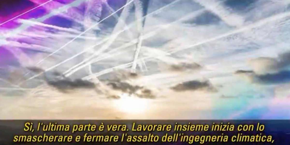 Stiamo ingerendo microplastiche a livelli conformi agli effetti nocivi.