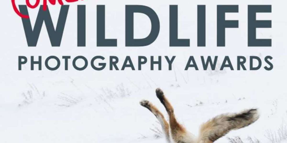 Comedy Wildlife Photography Award