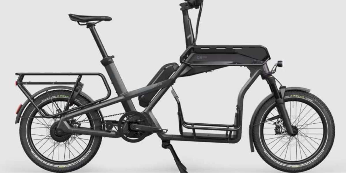 CUV E-Bike CS da carico