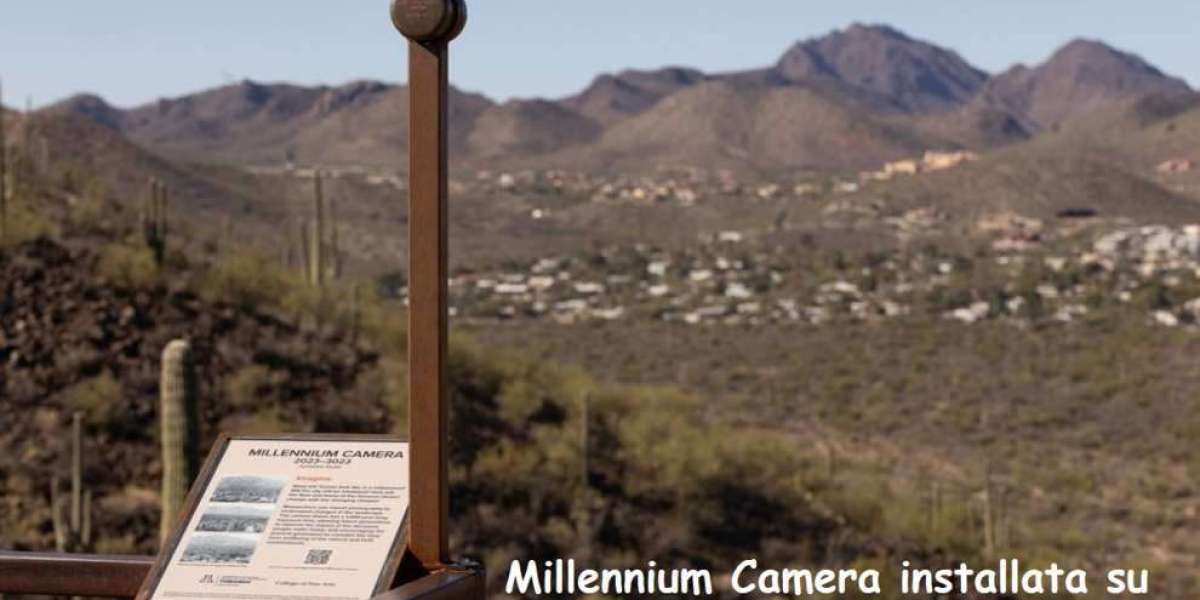 Il progetto Millennium Camera