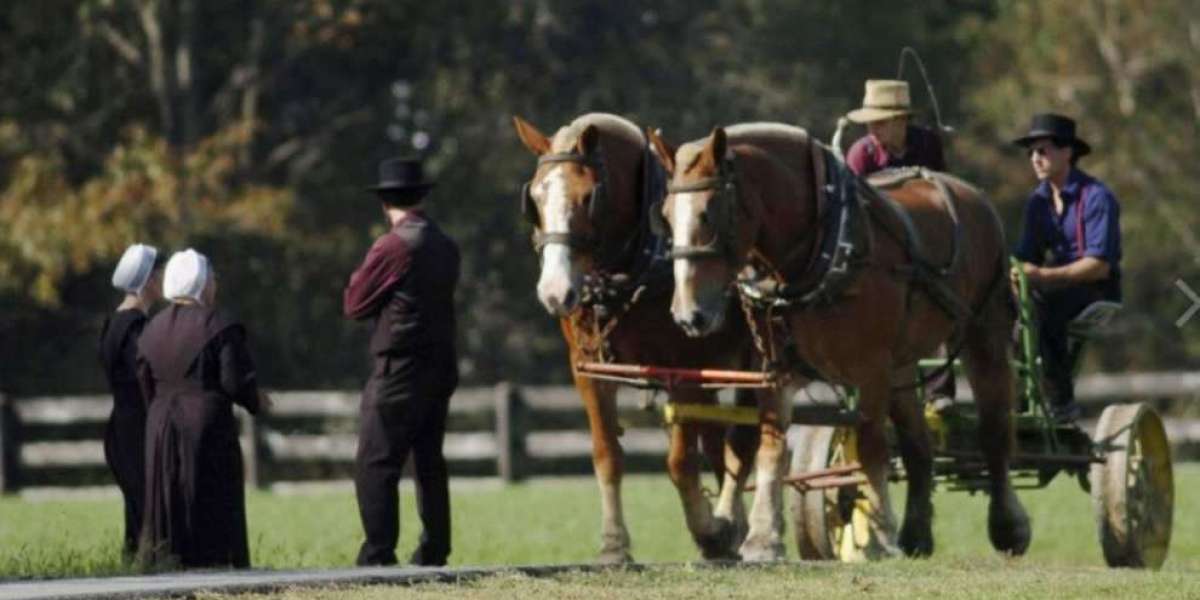 Comunità Amish è già libera dalla rete di controllo