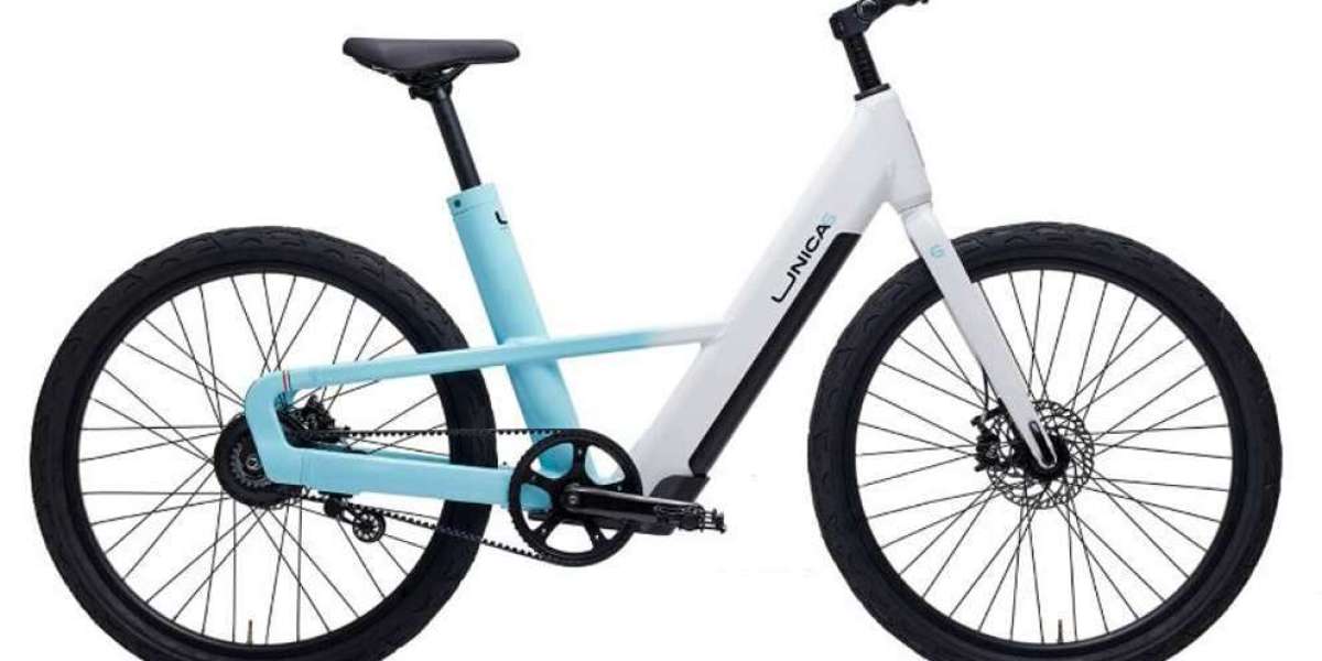 Ebike italiana UNICA6