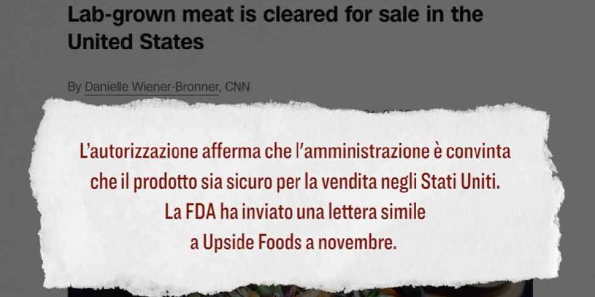 Eliminiamo fattorie e allevamenti e facciamo la carne in laboratorio