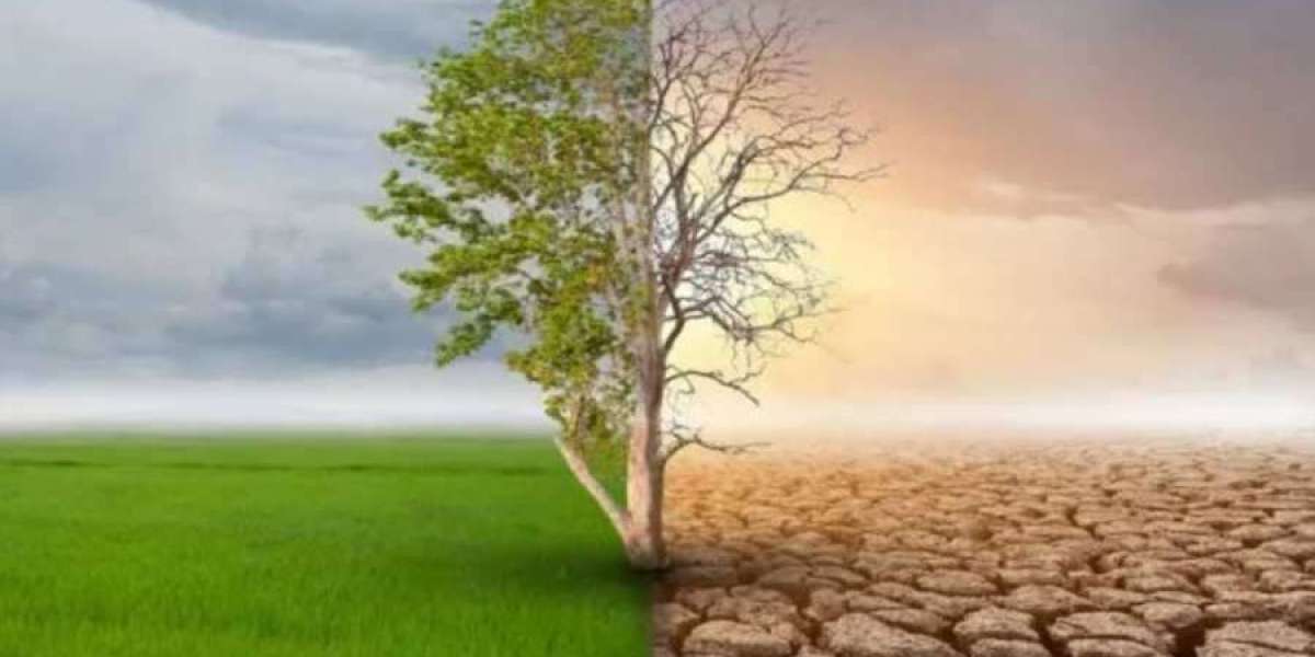 Politiche green causano il riscaldamento globale