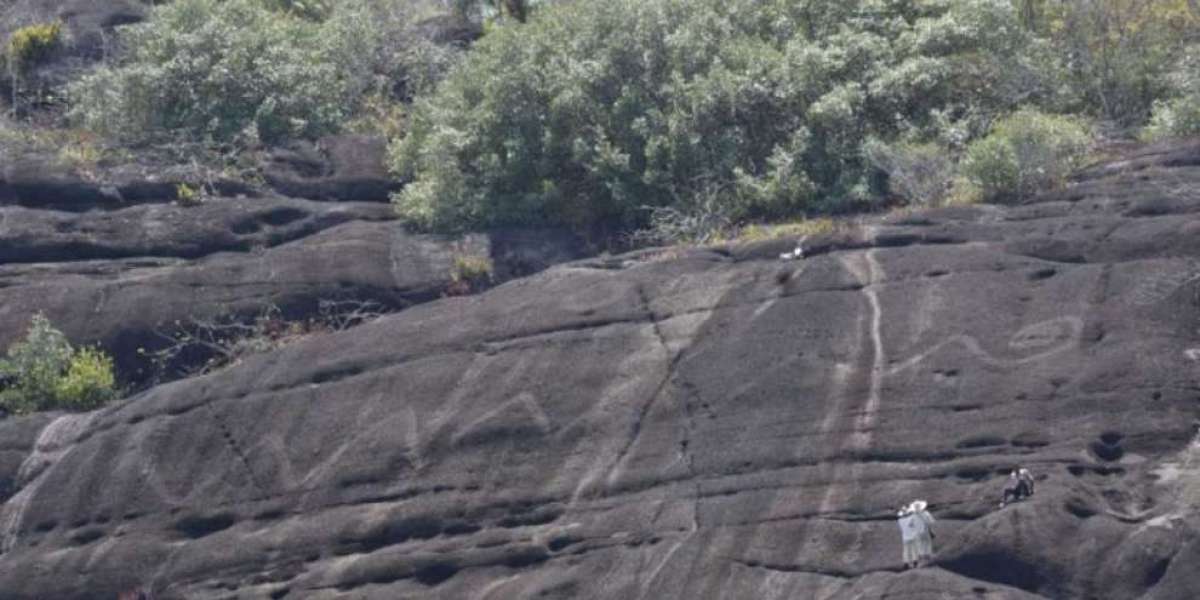 Monumentali incisioni di serpenti del fiume Orinoco