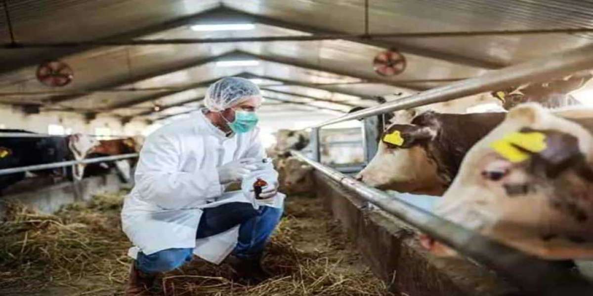 Influenza aviaria: controllare il sistema alimentare e trarne profitto