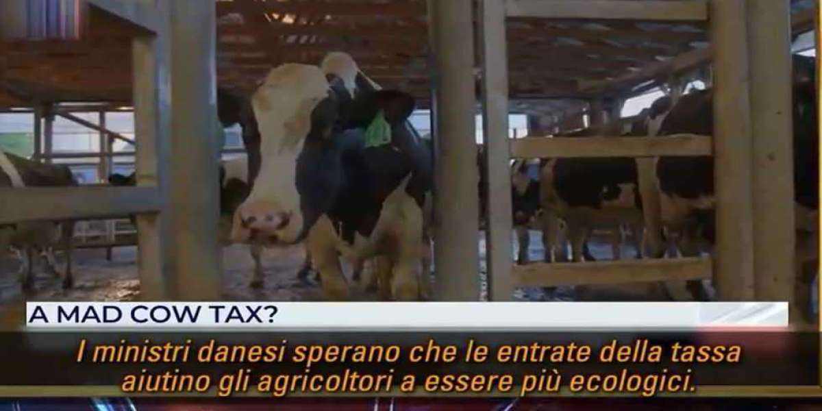 La Danimarca intende imporre una carbon tax agli agricoltori e allevatori.