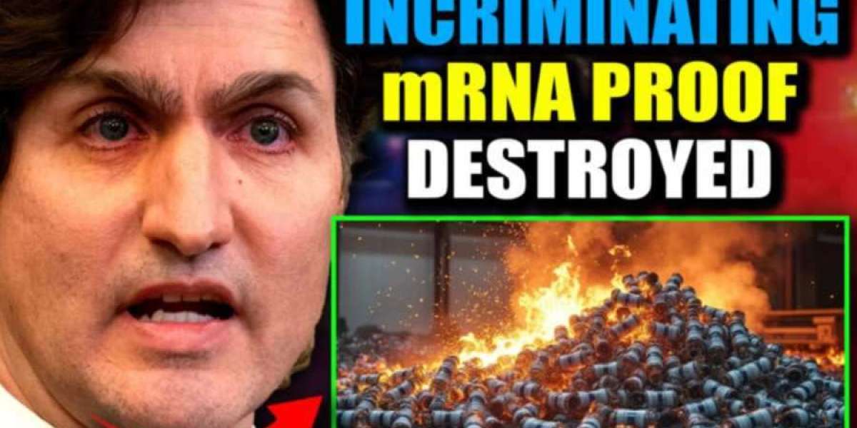 Trudeau rischia la prigione per aver distrutto le prove del genocidio mRNA