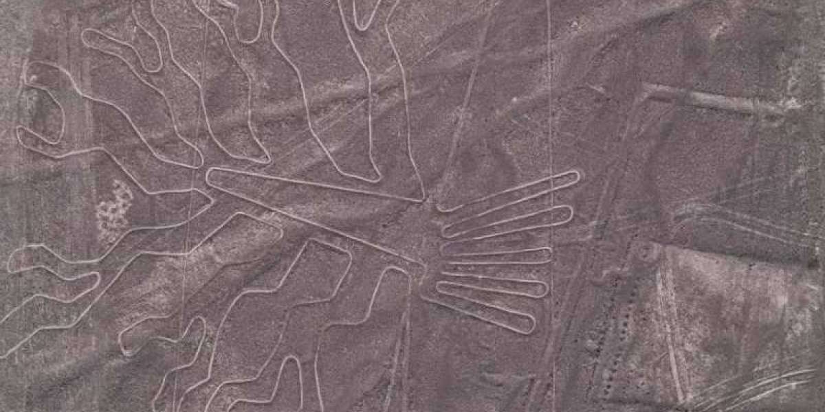 Scoperti nuovi disegni di Nazca in Perù