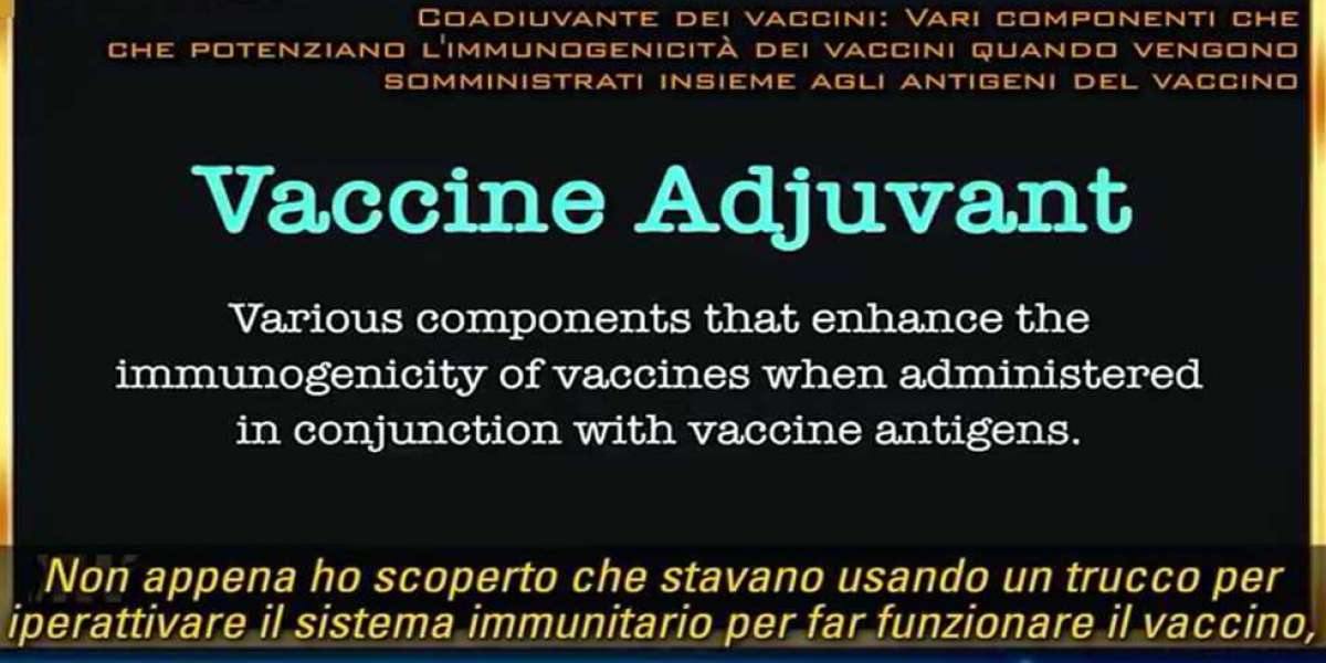 I vaccini "simulano di funzionare" iperattivando il sistema immunitario causando disturbi autoimmuni.