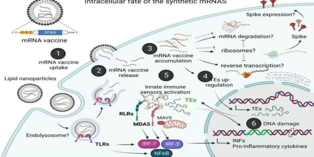 Le false promesse dei vaccini a mRNA: Codice genetico divergente incorporato nell'esoma umano.