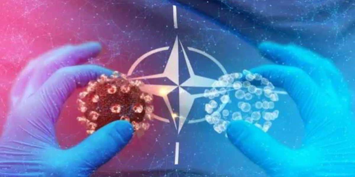 NATO 2030: l’impegno della NATO in settori quali pandemia e clima.