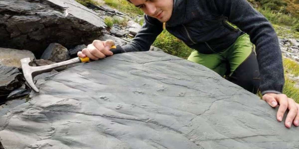 Valtellina: riaffiorano fossili di 280 mln di anni