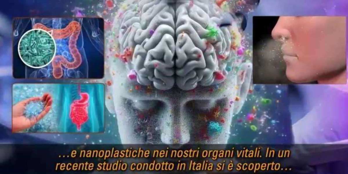 Ingeriamo micro e nanoplastiche che contaminano i nostri organi vitali.