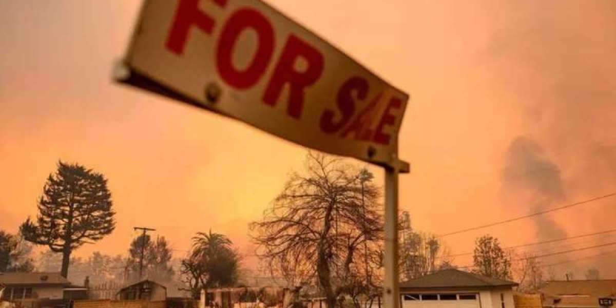 Il lato oscuro degli incendi alle Hawaii