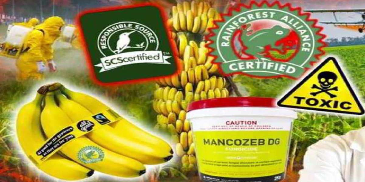 La verità su Rainforest Alliance, il marchio della rana: Non è garanzia di cibo sano.