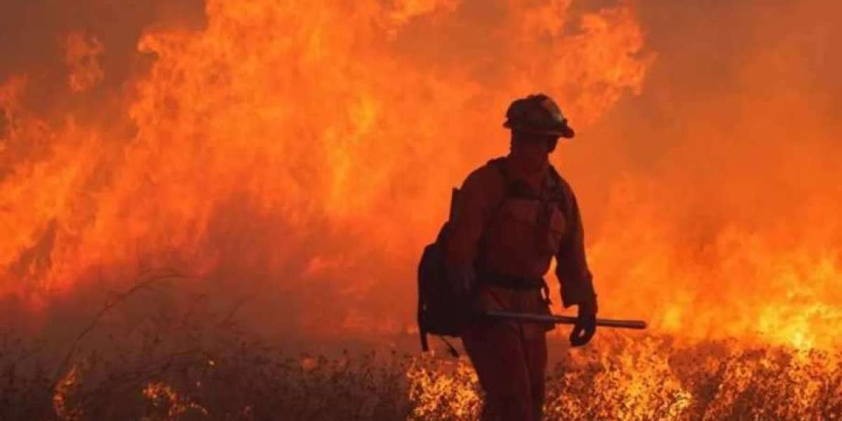 Gennaio più caldo? Le ultime bugie della BBC