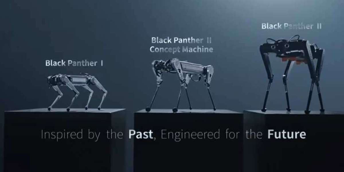 Black Panther é il robot piú veloce al mondo