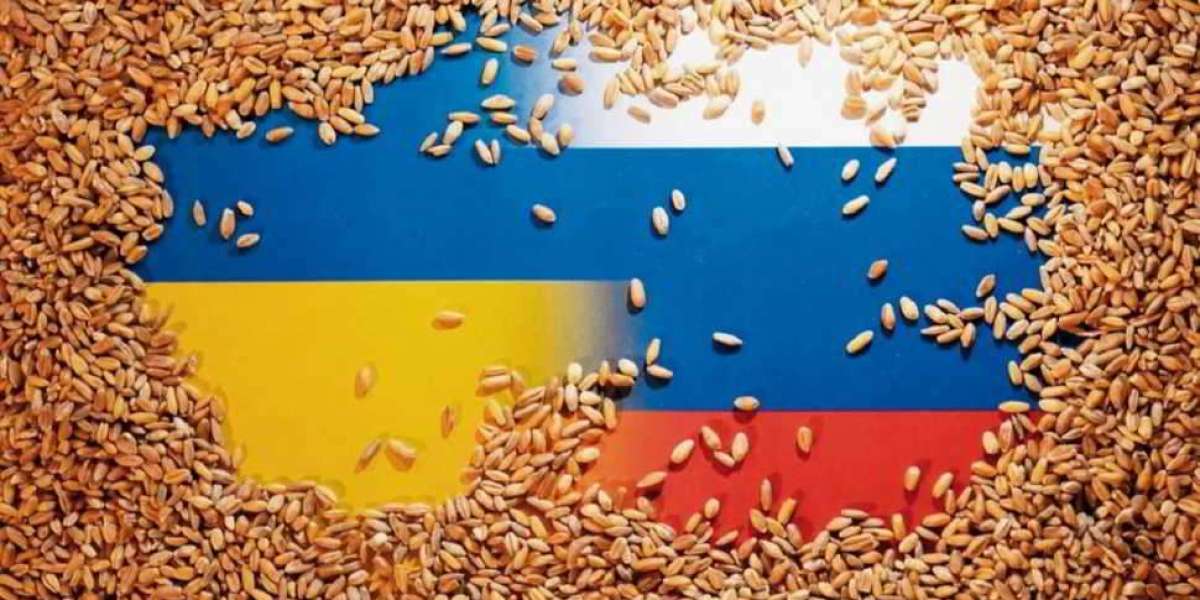 USAID ha sostenuto l'acquisizione aziendale dell'agricoltura ucraina