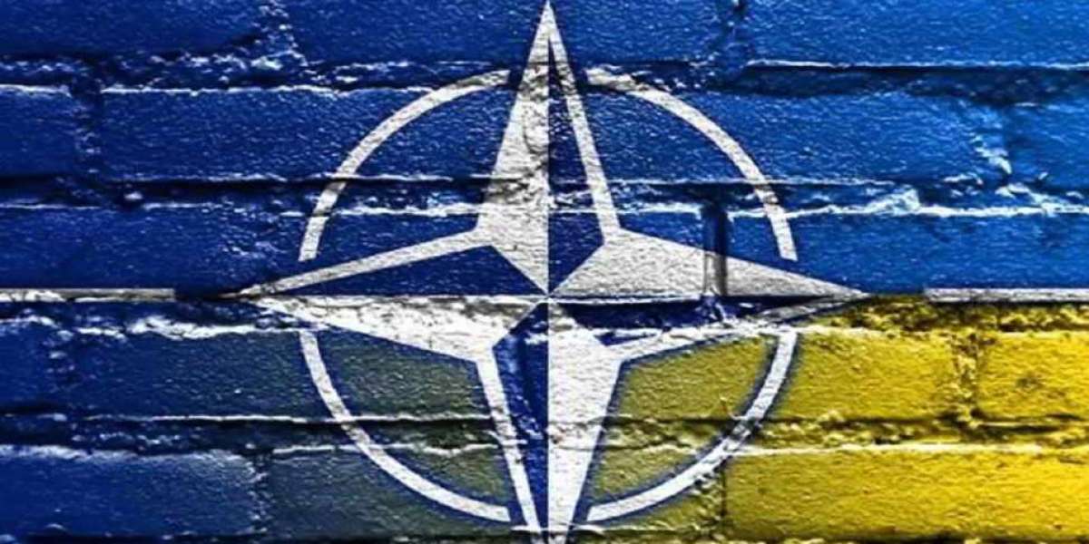 L'Ucraina ha già le garanzie dell'articolo 5 da alcuni paesi della NATO