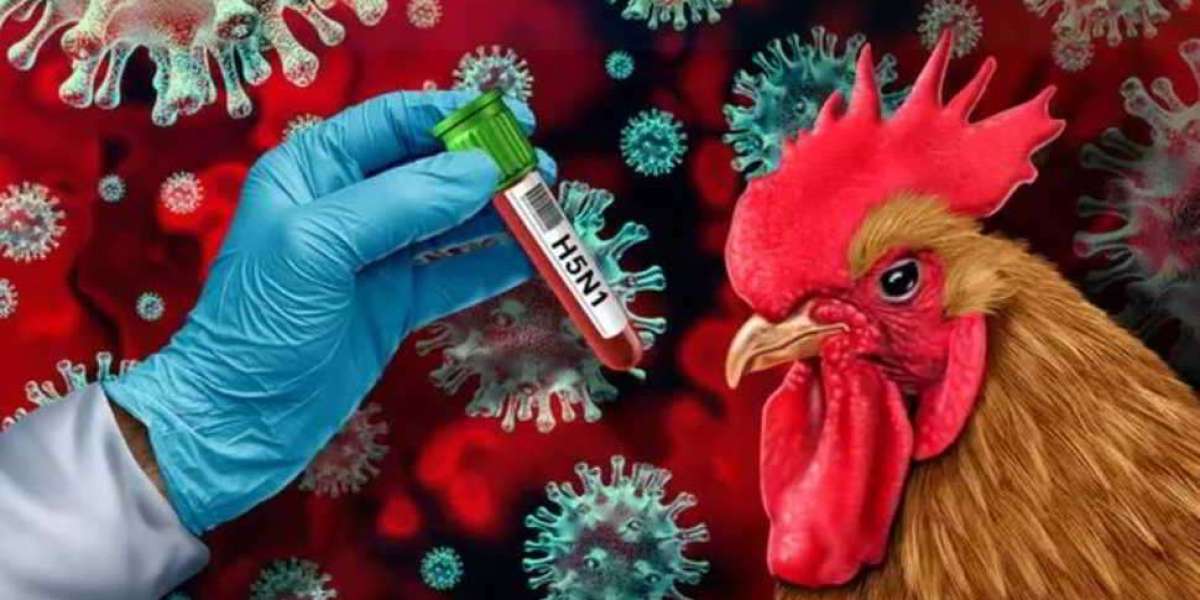 Aumento dei casi di H5N1: i casi di influenza aviaria stanno aumentando