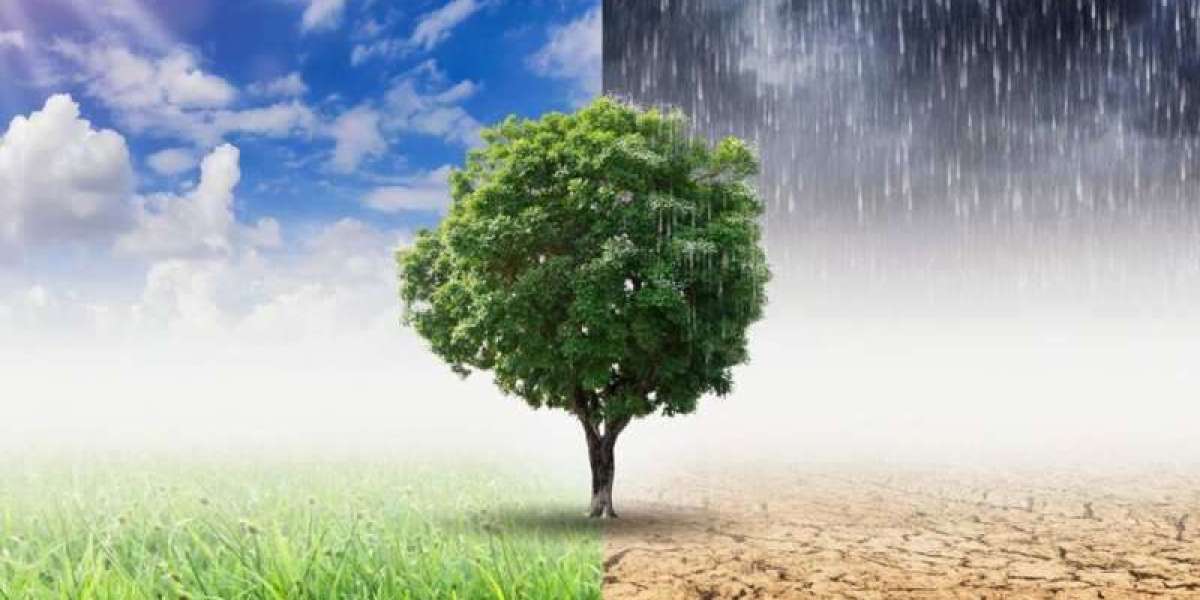 Il clima attuale è molto più freddo
